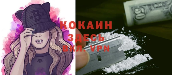 дживик Шали