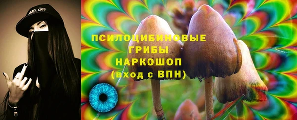 спиды Инсар